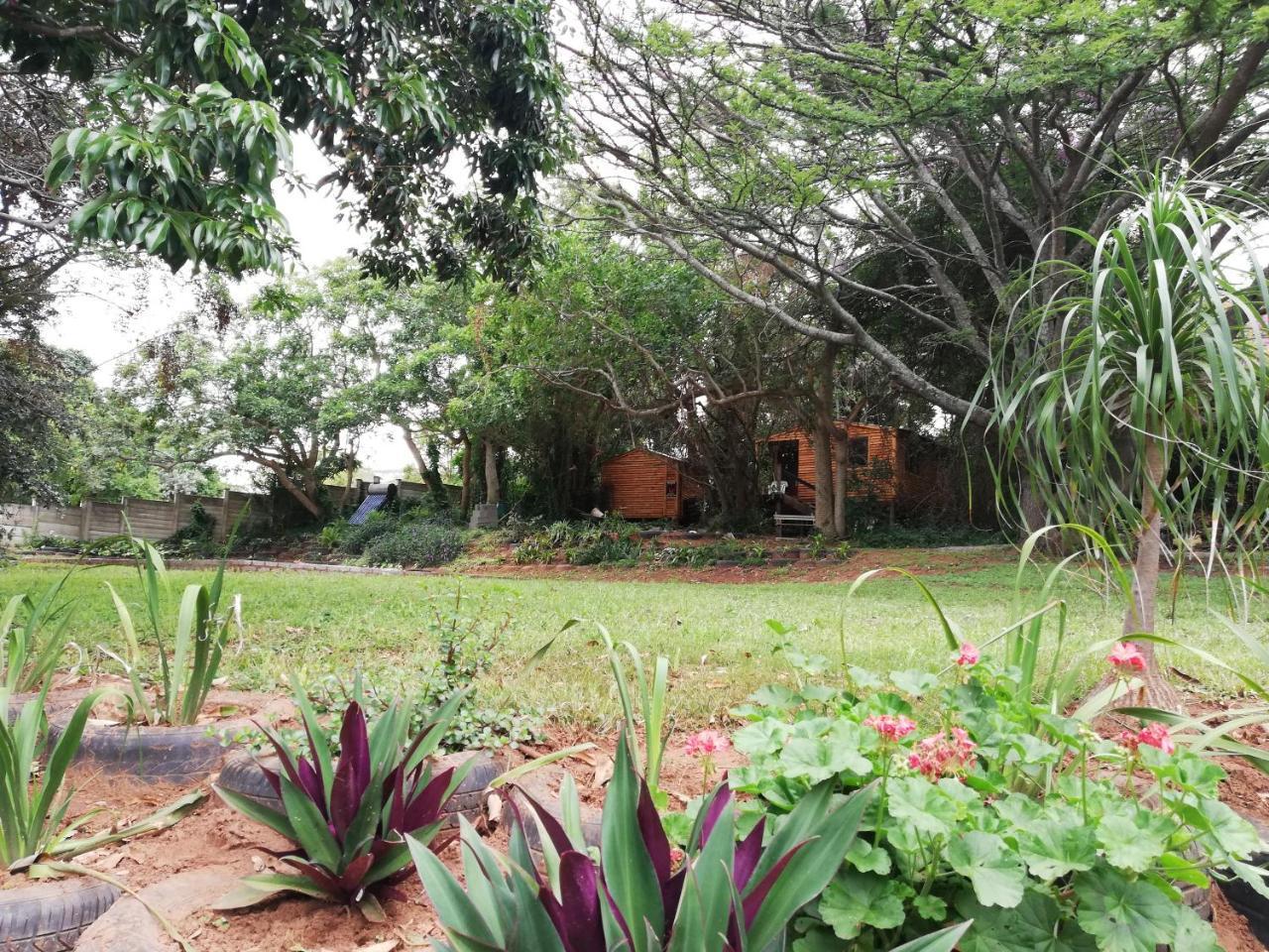 Beach Wood Cottages Shelly Beach Exterior foto