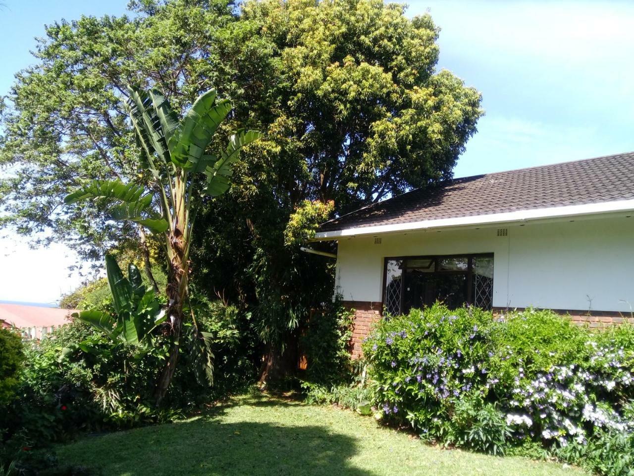 Beach Wood Cottages Shelly Beach Exterior foto