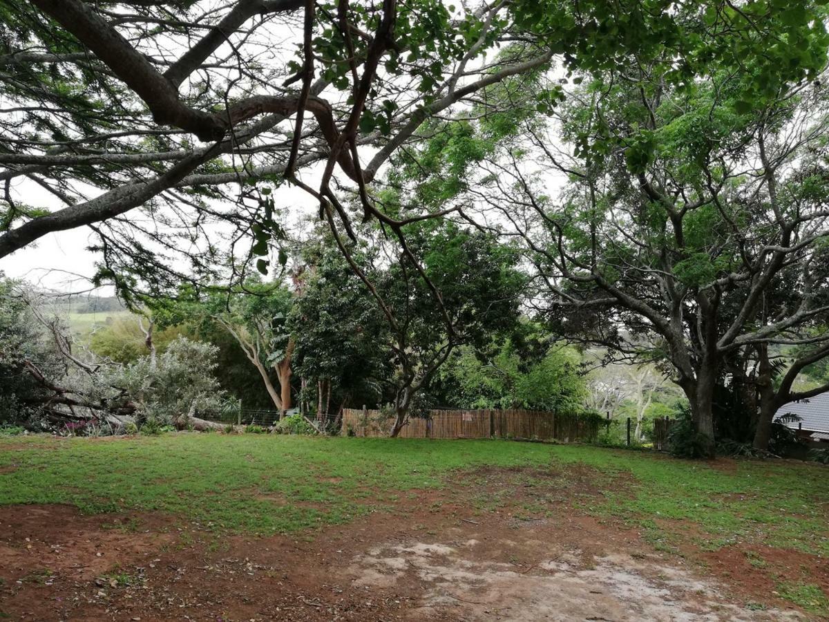 Beach Wood Cottages Shelly Beach Exterior foto